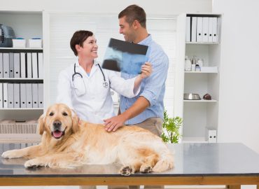 full body checkup