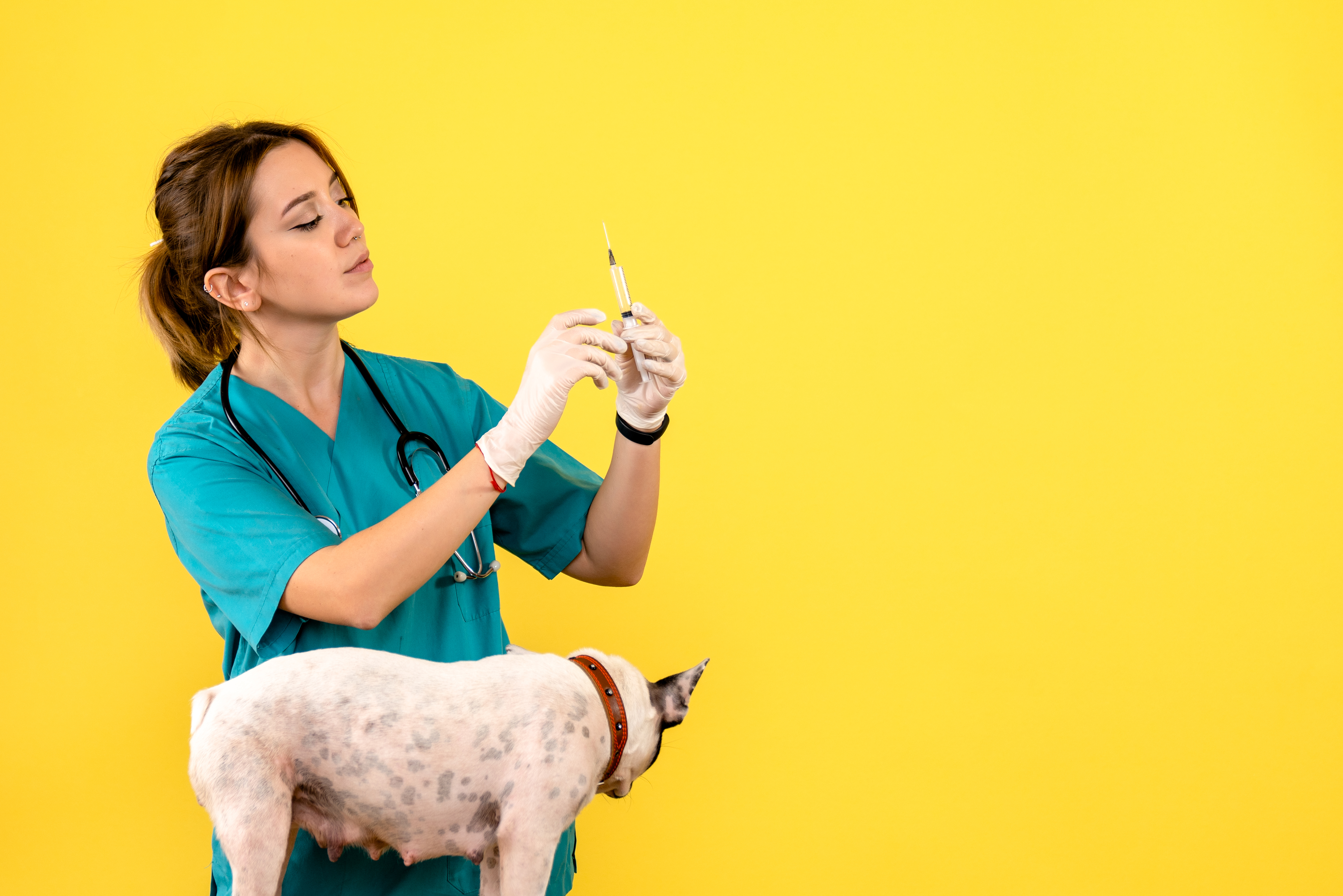 vaccines for pets