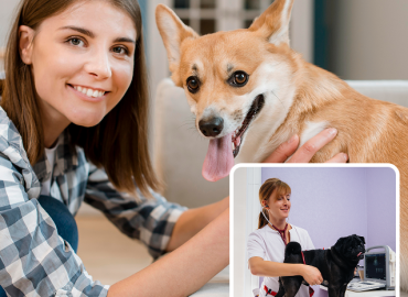 Trusted pet care clinic services in Dubai