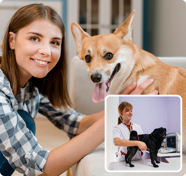 Key Indicators Your Pet Needs a Heart Veterinary Checkup
