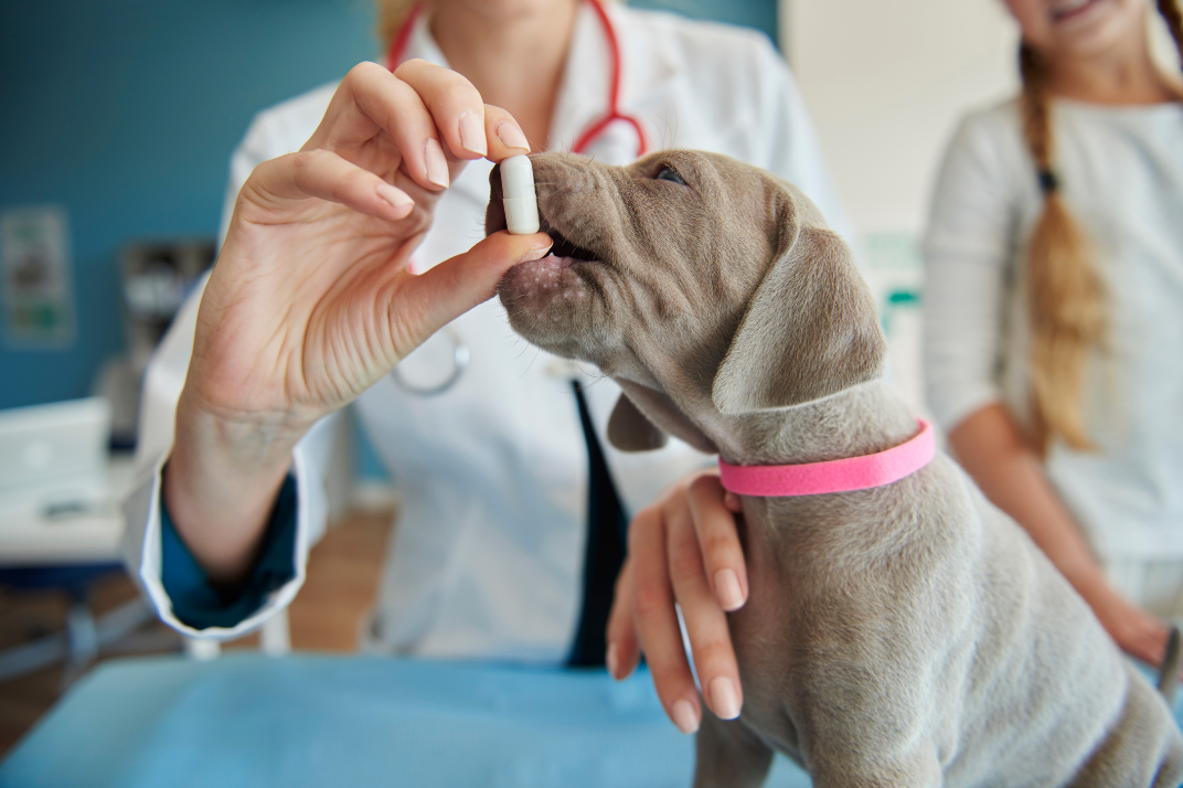 Best Dermatology and Allergy Treatments