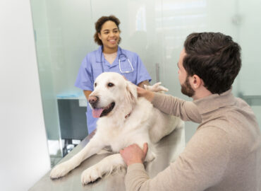 best veterinary clinic in Dubai