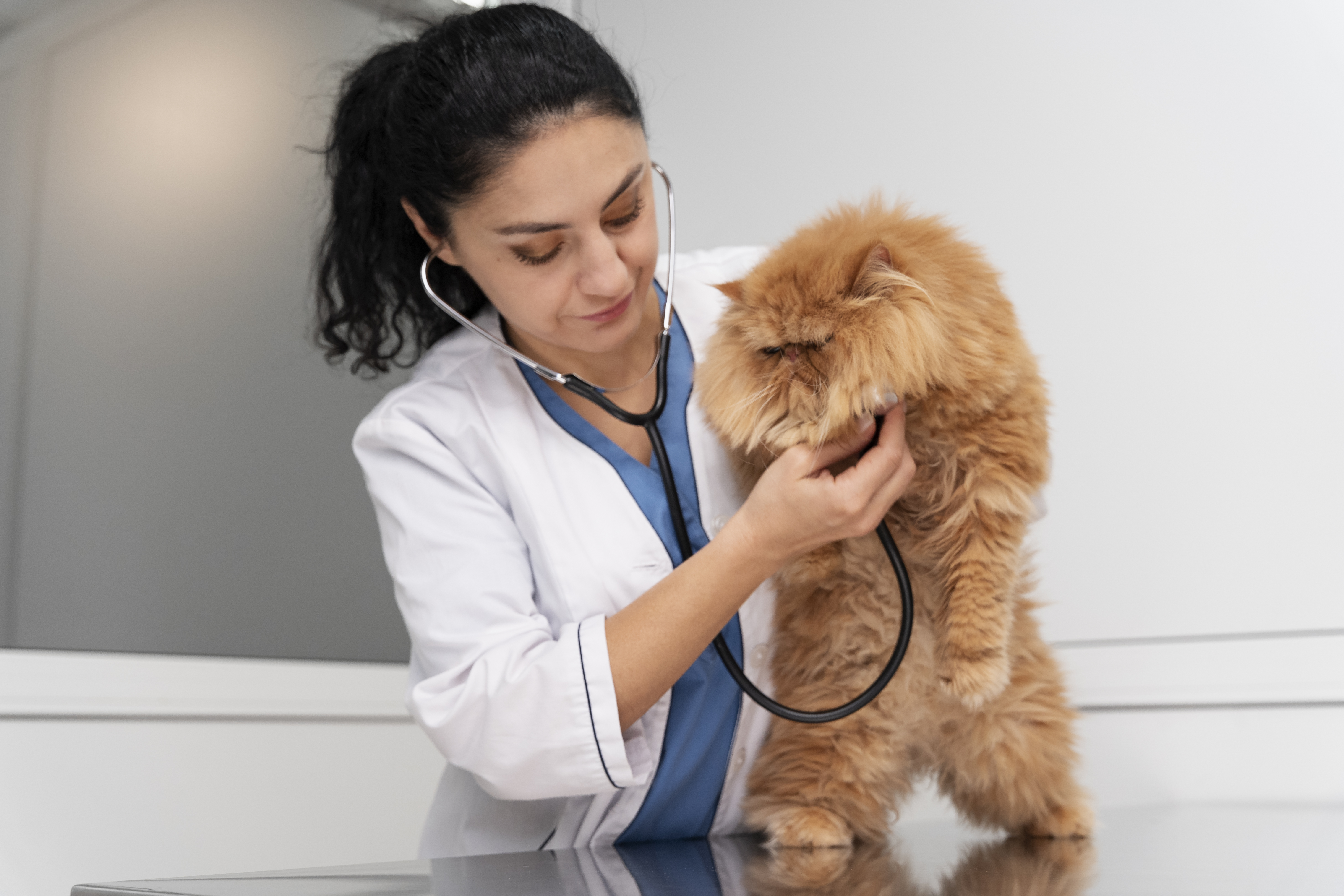 The Specialist’s Edge: Why a Veterinary Cardiologist is Vital for Your Pet’s Heart Health